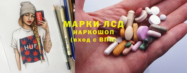 стафф Елизово