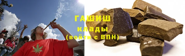 стафф Елизово