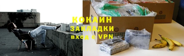 стафф Елизово