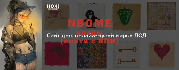 a pvp Ельня