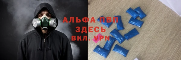 стафф Елизово