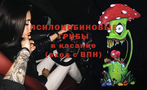 a pvp Ельня