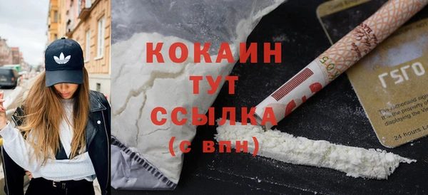 стафф Елизово