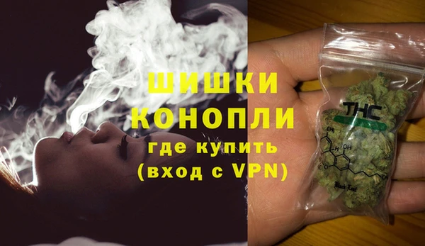 стафф Елизово