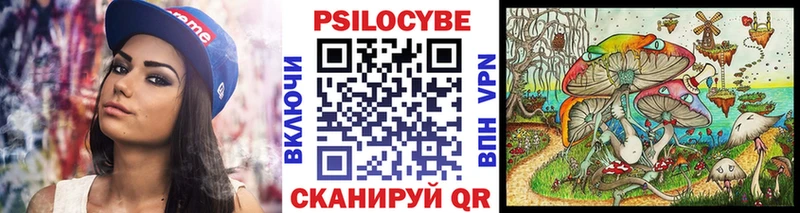 дарнет шоп  Зея  Галлюциногенные грибы ЛСД 